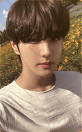 ENHYPEN Orange blood Weverse A Jungwon
