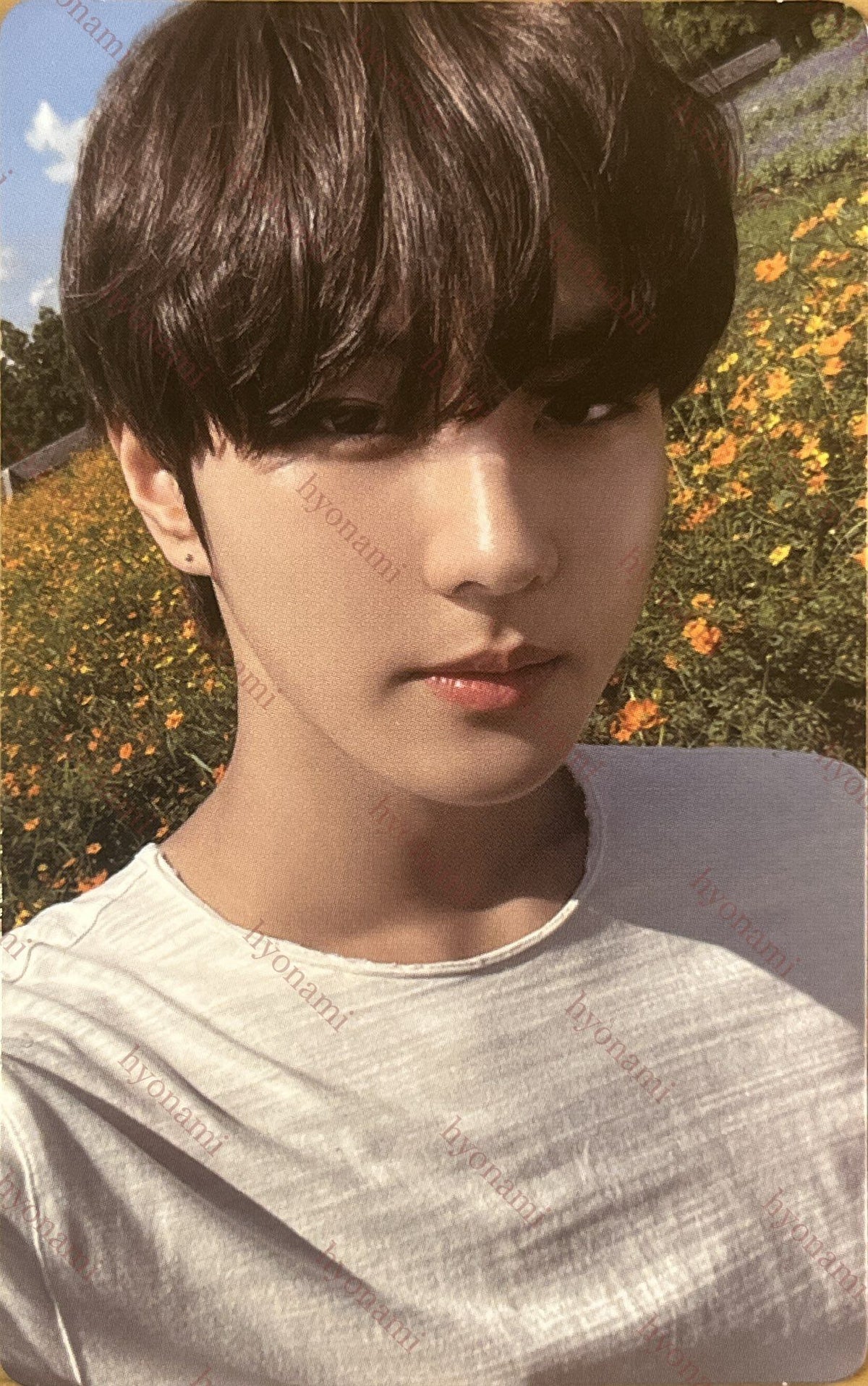ENHYPEN Orange blood Weverse A Jungwon