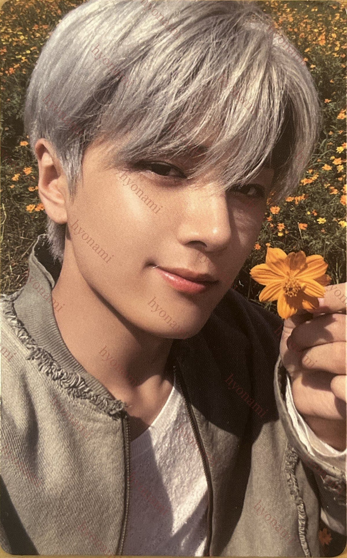 ENHYPEN Orange blood Weverse B Jay