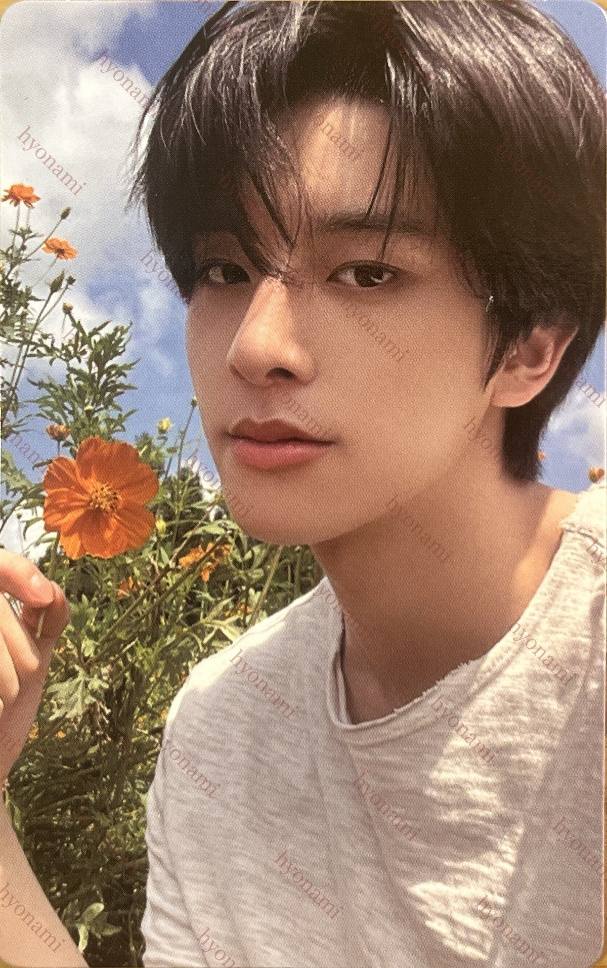 ENHYPEN Orange blood Weverse B Jake