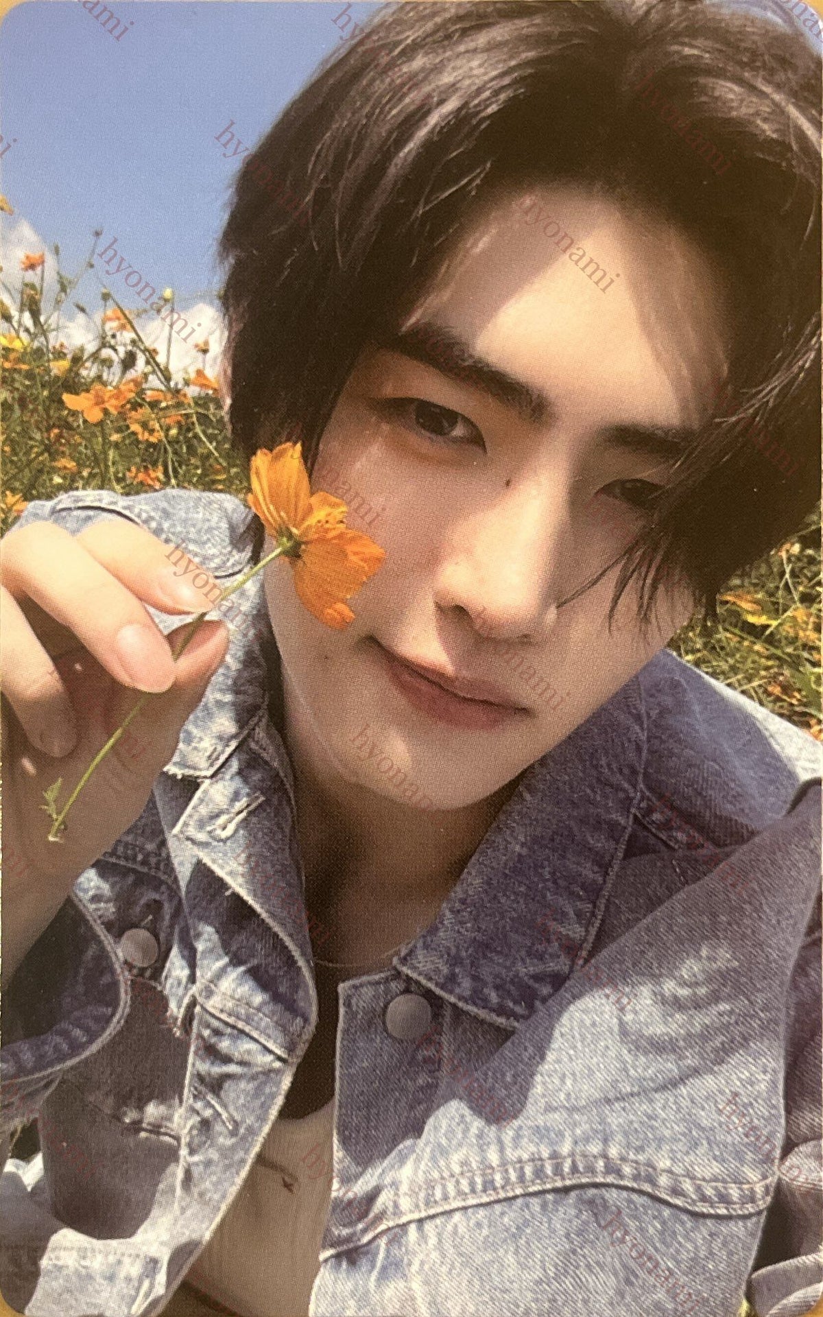 ENHYPEN Orange blood Weverse B Sunghoon