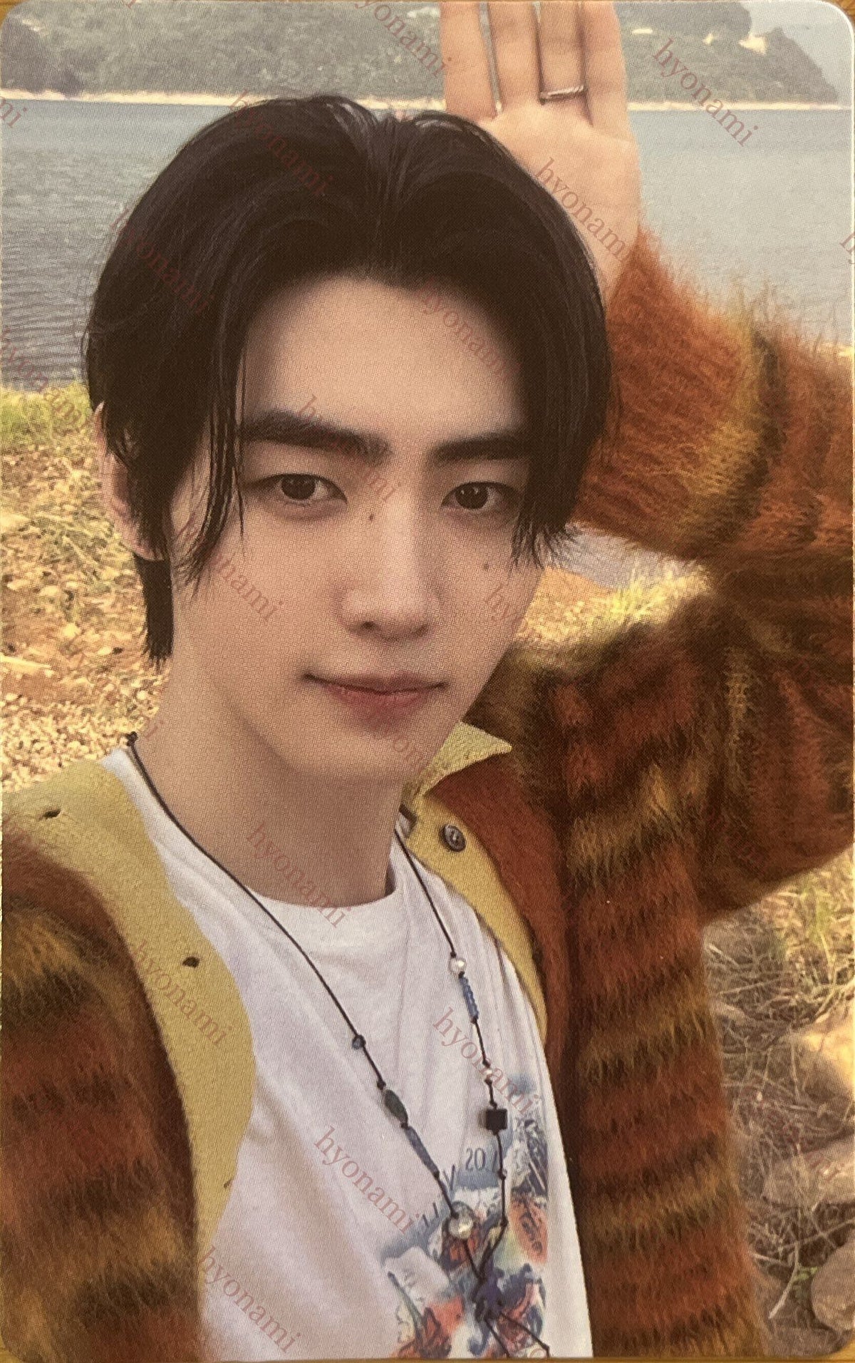 ENHYPEN Orange blood Weverse photocard set Sunghoon