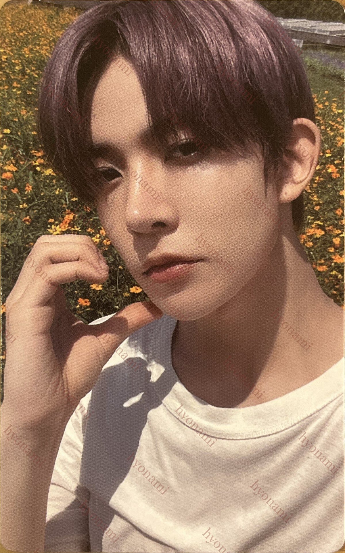 ENHYPEN Orange blood Weverse A Heeseung
