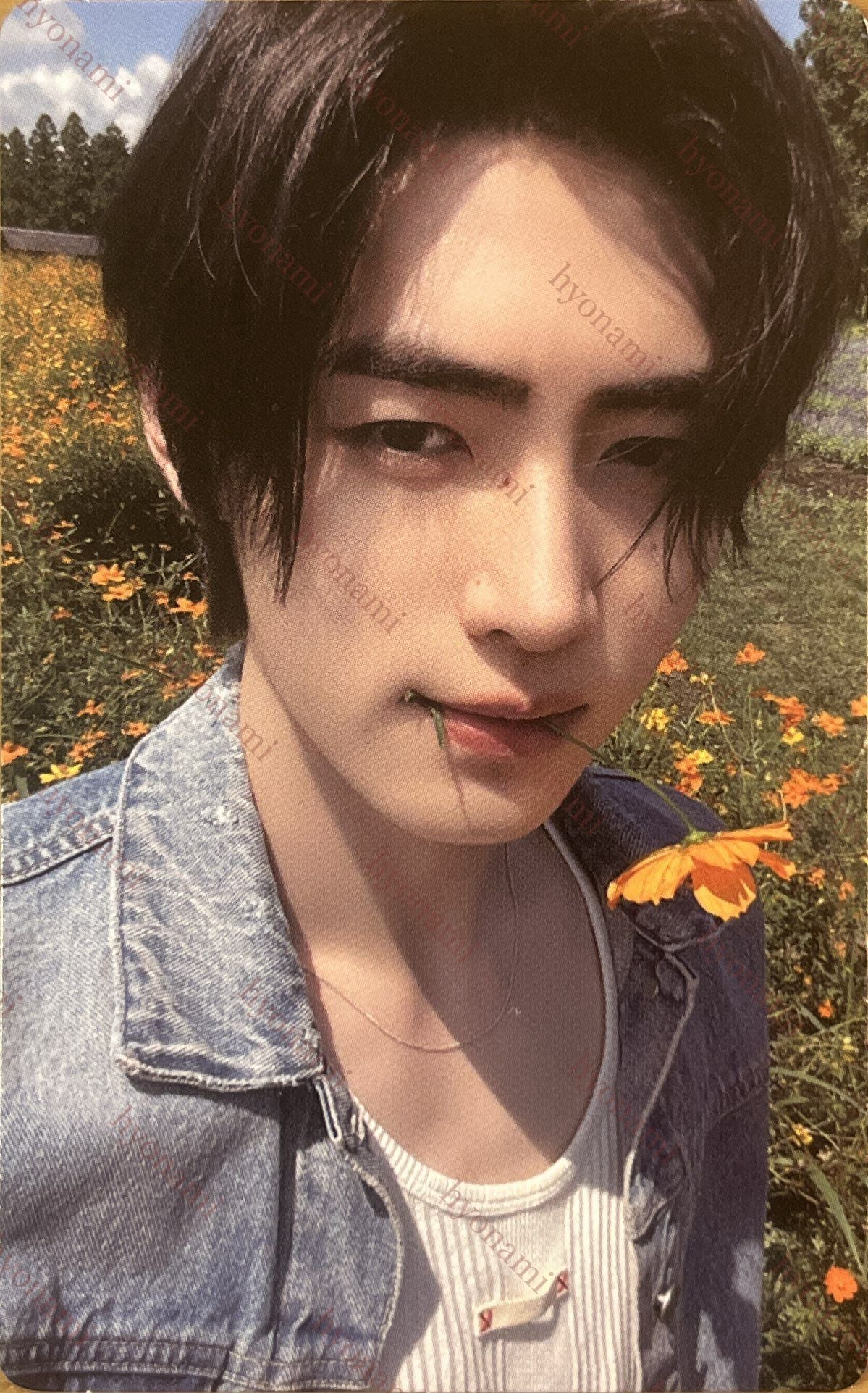 ENHYPEN Orange blood Weverse A Sunghoon