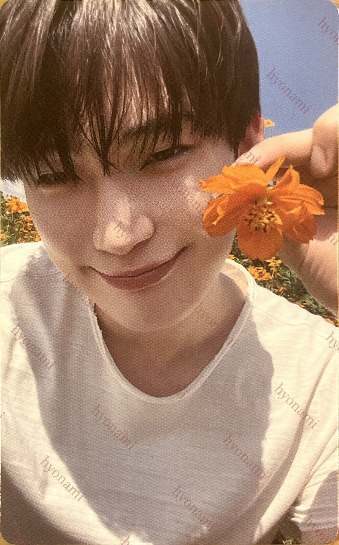 ENHYPEN Orange blood Weverse A Sunoo