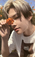 ENHYPEN Orange blood Weverse A Ni-ki
