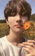 ENHYPEN Orange blood Weverse B Jungwon