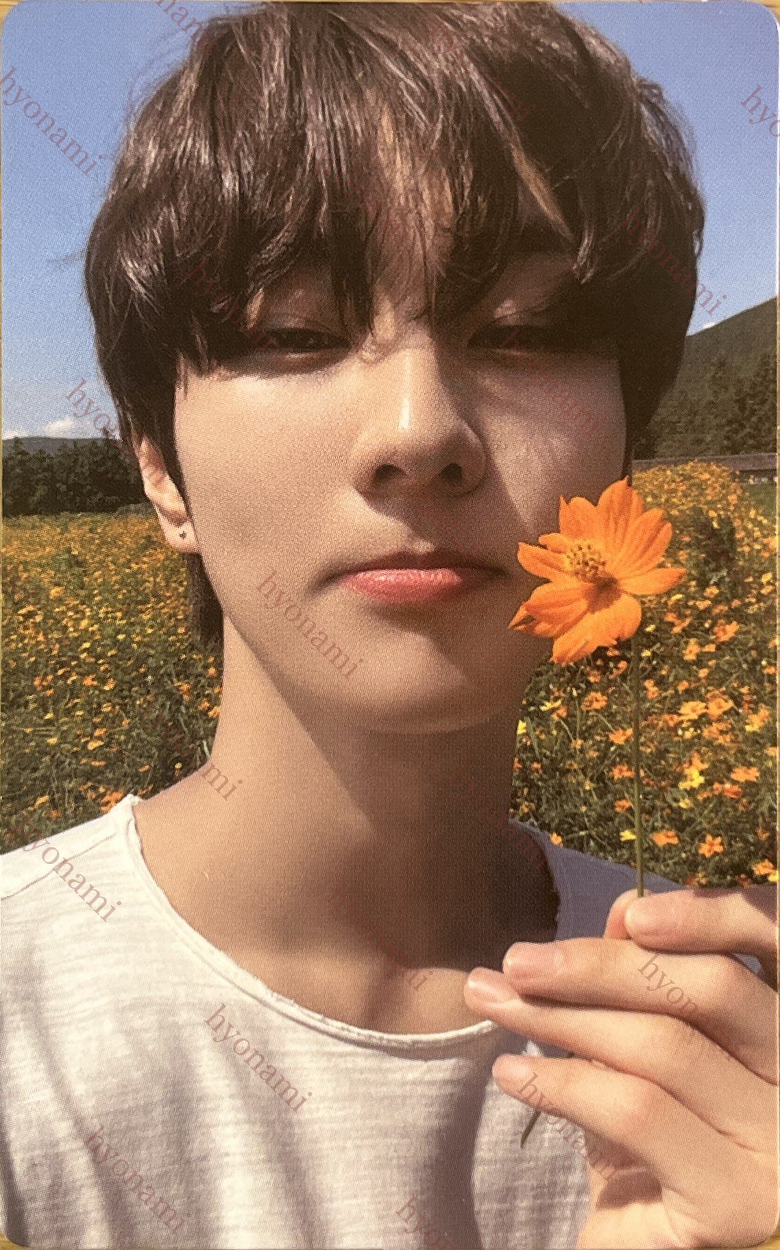 ENHYPEN Orange blood Weverse B Jungwon