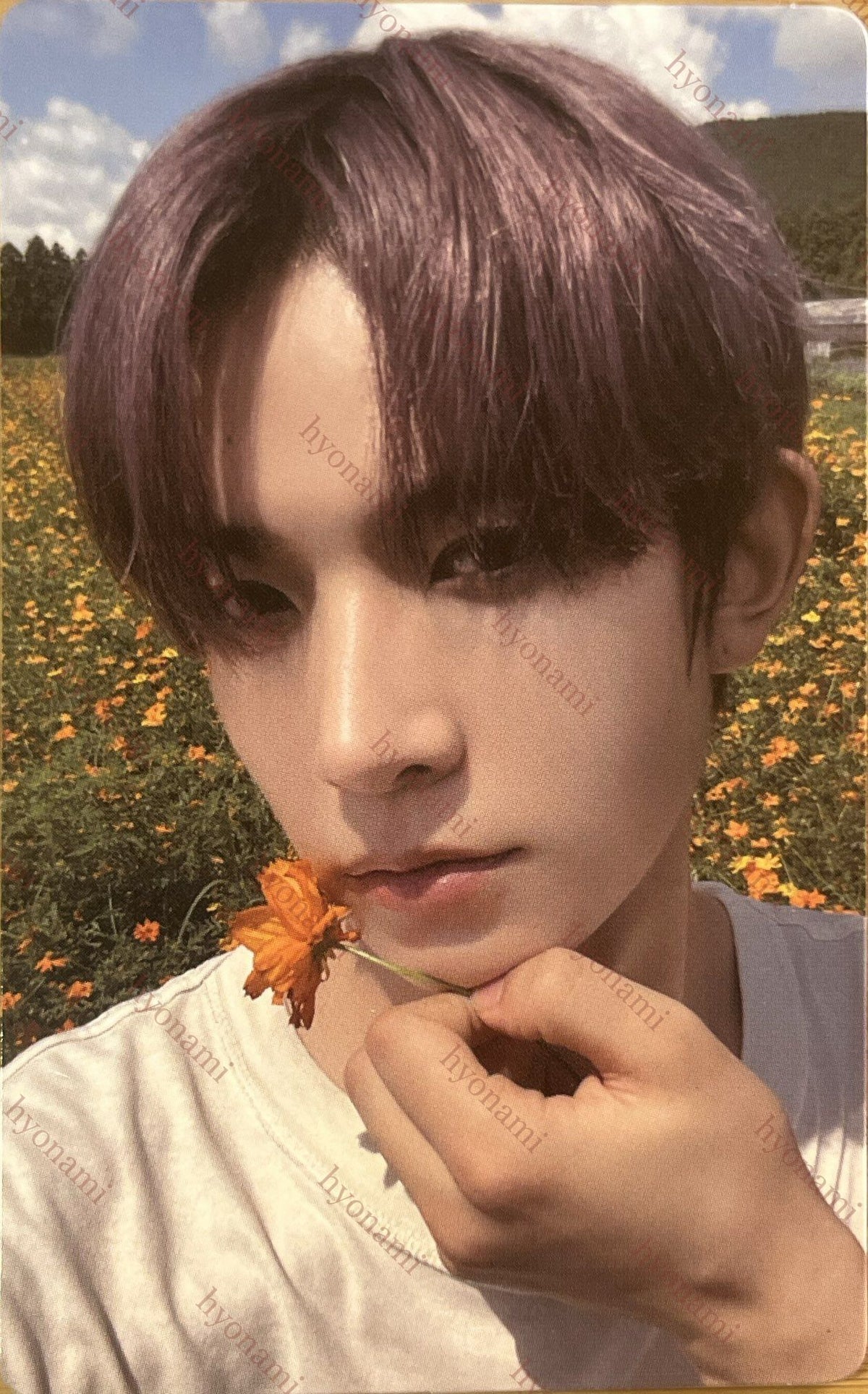 ENHYPEN Orange blood Weverse B Heeseung