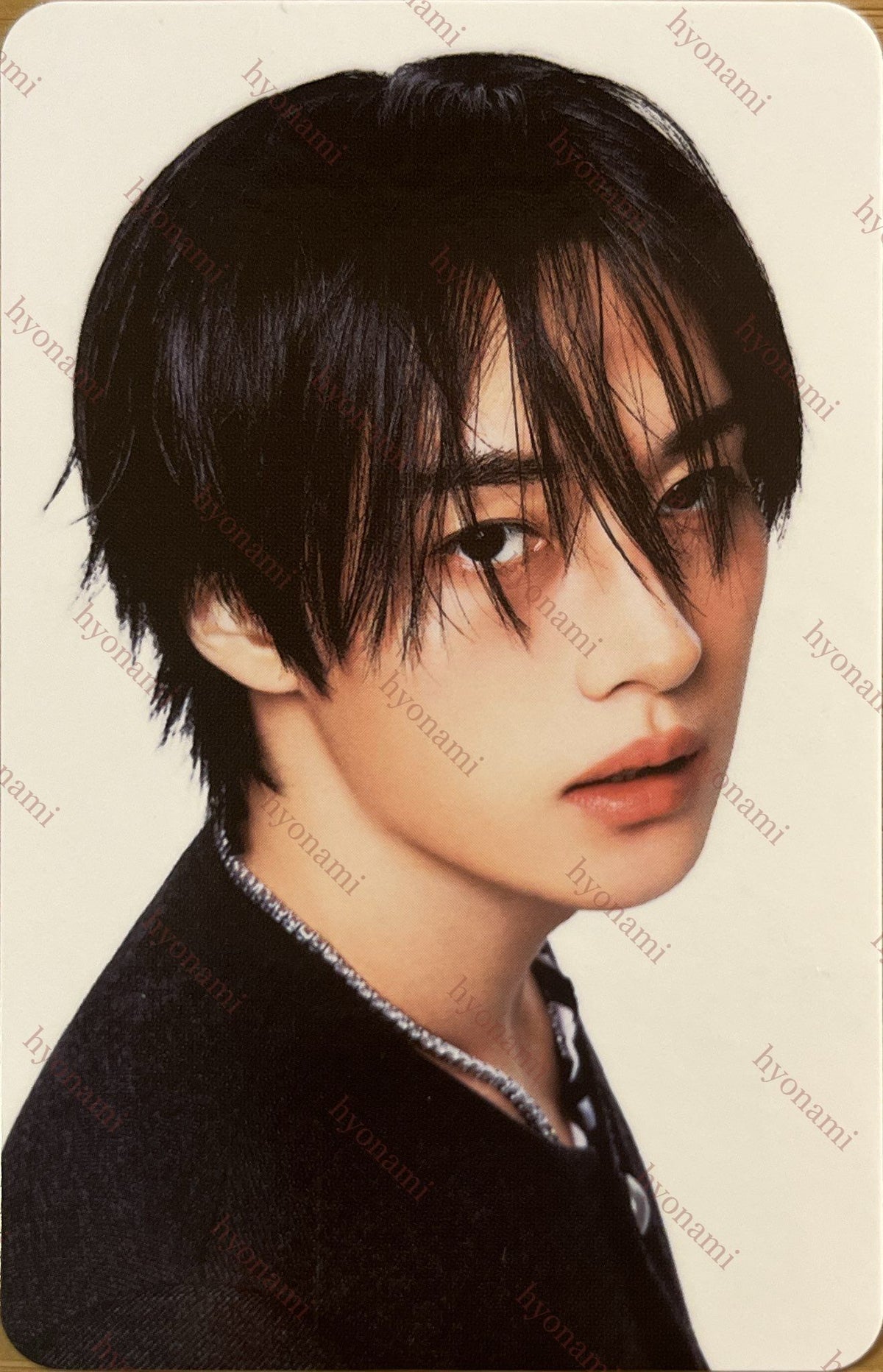 Stray Kids Karma SKZOO photocard set Lee Know