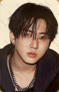 Stray Kids Karma SKZOO photocard set Changbin
