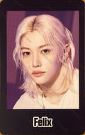 Stray Kids JYP Japan Popup store 2024 photocard set Felix