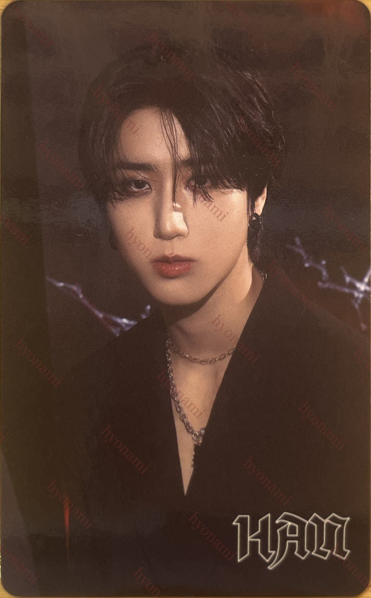 Stray Kids World Tour dominATE JAPAN upgrade photocard HAN