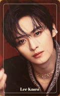 Stray Kids XMAS POPUP STORE 2024 photocard set Lee Know
