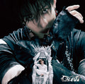 Stray kids Giant Japan Fanclub solo version Bang Chan