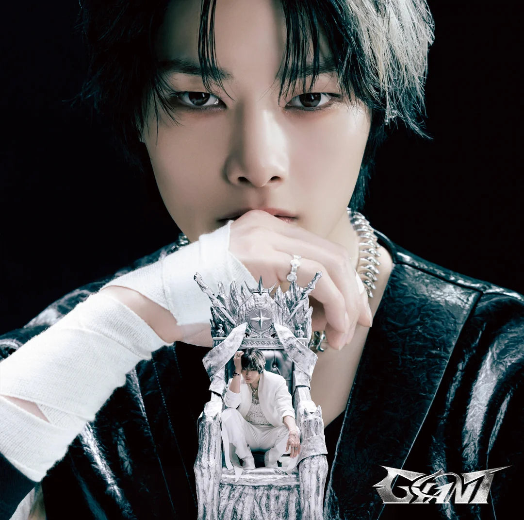 Stray kids Giant Japan Fanclub solo version I.N