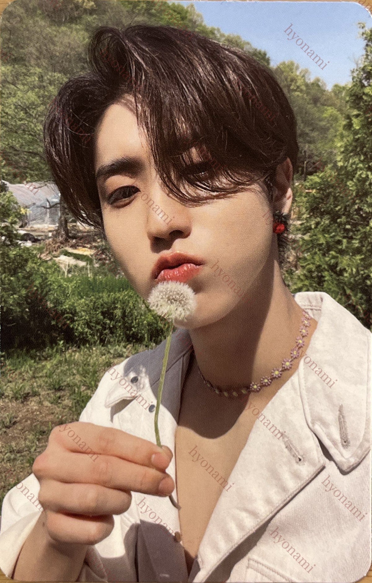 Stray Kids Maxident T-Crush HAN