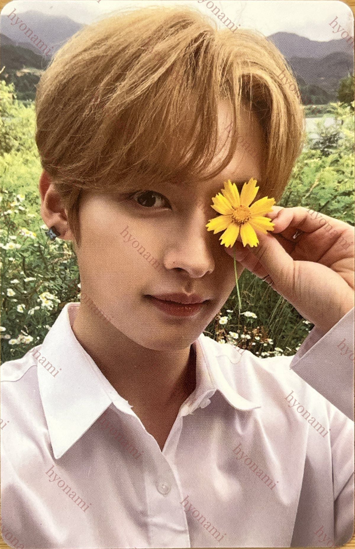 Stray Kids NoEasy limited Lee Know