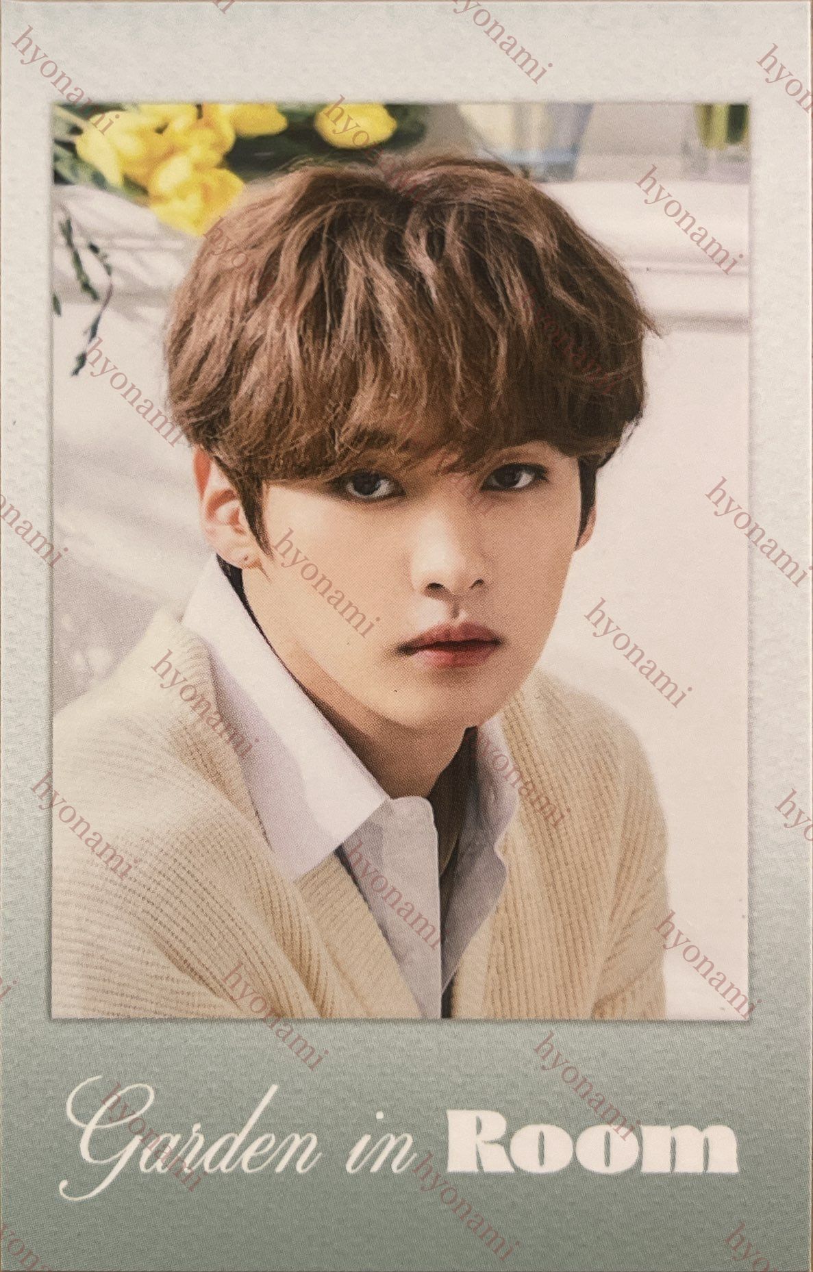 Stray Kids 2022 Season's greetings Room,mates Garden in room Lee Know