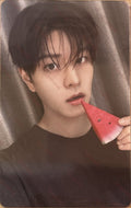 Stray Kids This & That Fans shop Seungmin