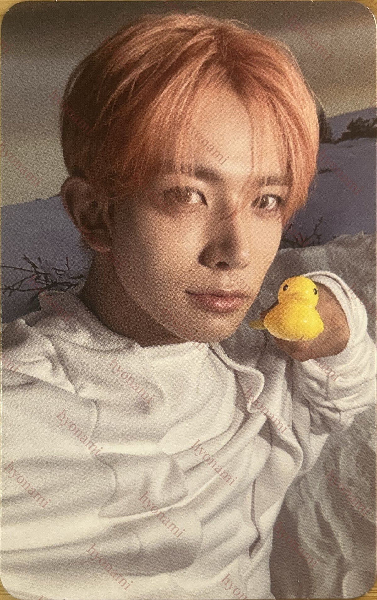 ENHYPEN Romance: untold -daydream- Weverse B Heeseung